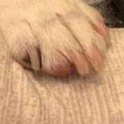 ヒメ日記 2025/04/29 21:32 投稿 あきら カワサキ EROTIC