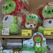 ヒメ日記 2025/05/11 10:45 投稿 あきら カワサキ EROTIC