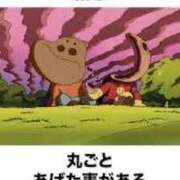 ヒメ日記 2025/05/11 14:35 投稿 あきら カワサキ EROTIC