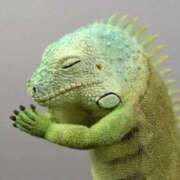 ヒメ日記 2025/06/03 15:19 投稿 あきら カワサキ EROTIC