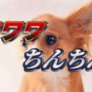 ヒメ日記 2025/06/21 10:42 投稿 あきら カワサキ EROTIC