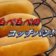 ヒメ日記 2025/06/22 12:16 投稿 あきら カワサキ EROTIC