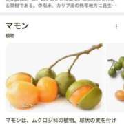 ヒメ日記 2025/06/25 14:45 投稿 あきら カワサキ EROTIC