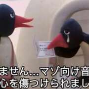 ヒメ日記 2025/06/29 21:15 投稿 あきら カワサキ EROTIC