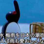 ヒメ日記 2025/06/29 23:45 投稿 あきら カワサキ EROTIC