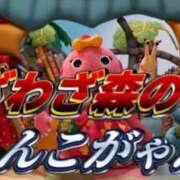 ヒメ日記 2025/06/30 17:30 投稿 あきら カワサキ EROTIC