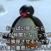 ヒメ日記 2025/08/05 08:49 投稿 あきら カワサキ EROTIC