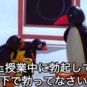 ヒメ日記 2025/08/15 10:29 投稿 あきら カワサキ EROTIC