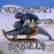 ヒメ日記 2025/09/17 14:20 投稿 あきら カワサキ EROTIC