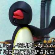 ヒメ日記 2025/09/27 12:32 投稿 あきら カワサキ EROTIC