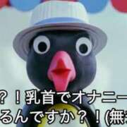 ヒメ日記 2025/10/02 10:41 投稿 あきら カワサキ EROTIC