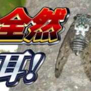 ヒメ日記 2025/10/08 13:30 投稿 あきら カワサキ EROTIC