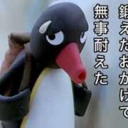 ヒメ日記 2025/10/30 19:31 投稿 あきら カワサキ EROTIC