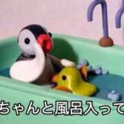 ヒメ日記 2025/10/30 23:30 投稿 あきら カワサキ EROTIC