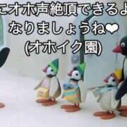 ヒメ日記 2025/11/02 13:30 投稿 あきら カワサキ EROTIC