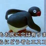 ヒメ日記 2025/11/05 09:42 投稿 あきら カワサキ EROTIC