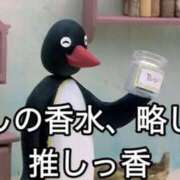 ヒメ日記 2025/11/18 17:30 投稿 あきら カワサキ EROTIC