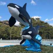 ヒメ日記 2026/02/03 10:30 投稿 あきら カワサキ EROTIC