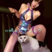 ヒメ日記 2026/02/15 10:10 投稿 あきら カワサキ EROTIC