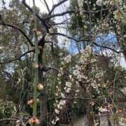 ヒメ日記 2026/02/27 19:31 投稿 あきら カワサキ EROTIC