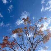 ヒメ日記 2024/12/13 11:10 投稿 鈴谷ゆうり 五十路マダム　和歌山店