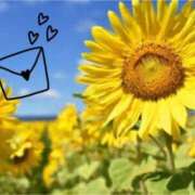 ヒメ日記 2024/12/15 20:02 投稿 鈴谷ゆうり 五十路マダム　和歌山店