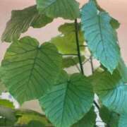 ヒメ日記 2024/12/19 09:20 投稿 鈴谷ゆうり 五十路マダム　和歌山店