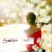 ヒメ日記 2024/12/21 07:18 投稿 鈴谷ゆうり 五十路マダム　和歌山店