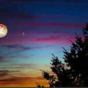 ヒメ日記 2024/12/22 23:26 投稿 鈴谷ゆうり 五十路マダム　和歌山店