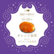 ヒメ日記 2024/12/23 06:38 投稿 鈴谷ゆうり 五十路マダム　和歌山店