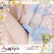 ヒメ日記 2024/12/26 18:06 投稿 鈴谷ゆうり 五十路マダム　和歌山店