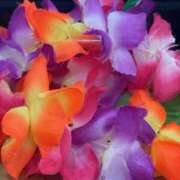 ヒメ日記 2024/12/27 03:24 投稿 鈴谷ゆうり 五十路マダム　和歌山店