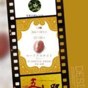 ヒメ日記 2024/12/28 05:46 投稿 鈴谷ゆうり 五十路マダム　和歌山店