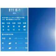 ヒメ日記 2024/12/29 12:32 投稿 鈴谷ゆうり 五十路マダム　和歌山店