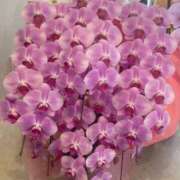 ヒメ日記 2025/01/10 22:42 投稿 鈴谷ゆうり 五十路マダム　和歌山店