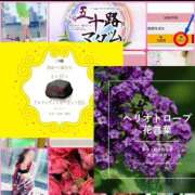 ヒメ日記 2025/01/27 16:24 投稿 鈴谷ゆうり 五十路マダム　和歌山店