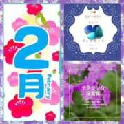 ヒメ日記 2025/02/01 07:02 投稿 鈴谷ゆうり 五十路マダム　和歌山店