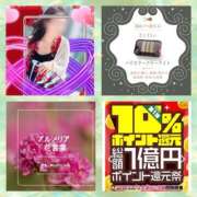 ヒメ日記 2025/02/13 08:02 投稿 鈴谷ゆうり 五十路マダム　和歌山店