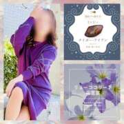 ヒメ日記 2025/02/17 08:20 投稿 鈴谷ゆうり 五十路マダム　和歌山店