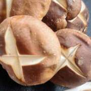 ヒメ日記 2025/02/17 14:20 投稿 鈴谷ゆうり 五十路マダム　和歌山店