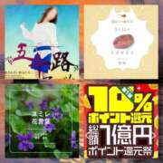 ヒメ日記 2025/03/11 14:08 投稿 鈴谷ゆうり 五十路マダム　和歌山店