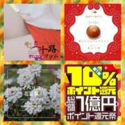 ヒメ日記 2025/03/15 12:54 投稿 鈴谷ゆうり 五十路マダム　和歌山店