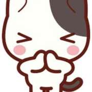 ヒメ日記 2025/03/25 08:26 投稿 鈴谷ゆうり 五十路マダム　和歌山店