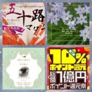 ヒメ日記 2025/03/26 08:14 投稿 鈴谷ゆうり 五十路マダム　和歌山店