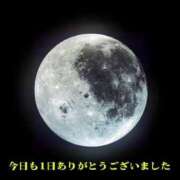 ヒメ日記 2025/03/30 02:46 投稿 鈴谷ゆうり 五十路マダム　和歌山店