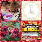 ヒメ日記 2025/04/07 07:44 投稿 鈴谷ゆうり 五十路マダム　和歌山店