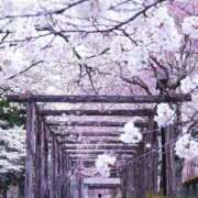 ヒメ日記 2025/04/10 13:58 投稿 鈴谷ゆうり 五十路マダム　和歌山店