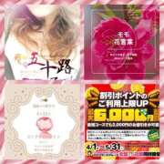 ヒメ日記 2025/04/12 09:04 投稿 鈴谷ゆうり 五十路マダム　和歌山店