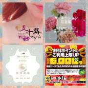 ヒメ日記 2025/04/15 09:20 投稿 鈴谷ゆうり 五十路マダム　和歌山店