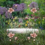 ヒメ日記 2025/04/15 09:50 投稿 鈴谷ゆうり 五十路マダム　和歌山店